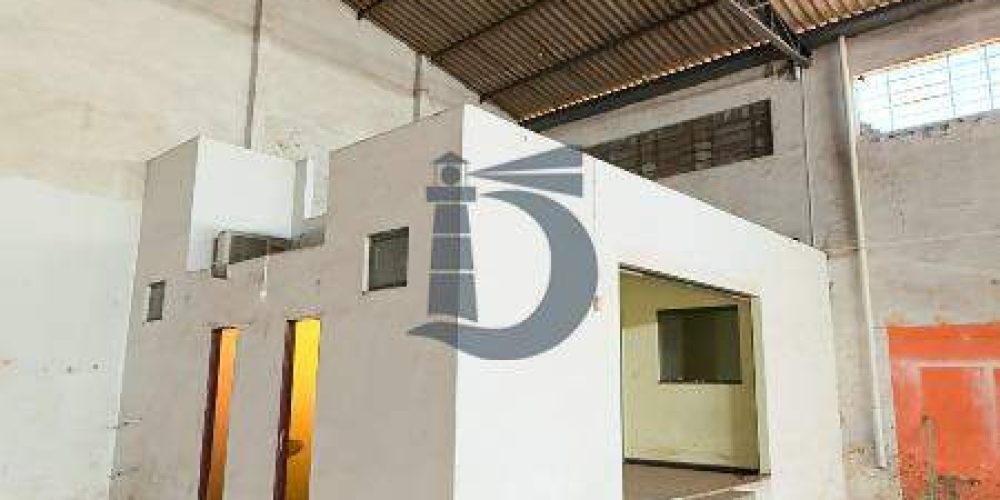 08nj9-img-8180-1772542706