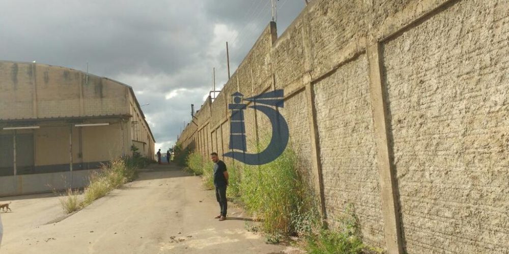 0dexv-fb0f444f-77c6-49b1-8b0b-2eb7e71571f6-1703095048