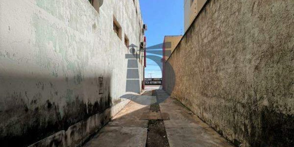 0xvtn-whatsapp-image-2025-09-03-at-120708-1763040613