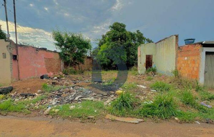 11tcv-whatsapp-image-2024-10-15-at-113121-1729012793