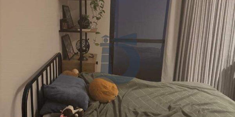 1arvx-whatsapp-image-2026-04-24-at-103411-1777055870