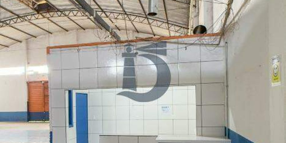 290mp-img-8423-1773428300