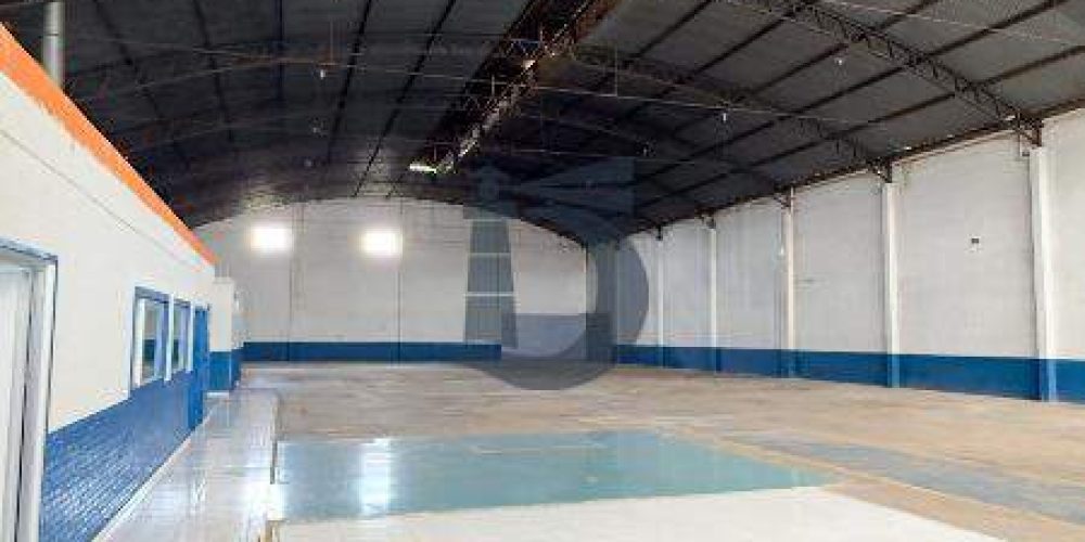 2nmmx-img-8438-1773428300