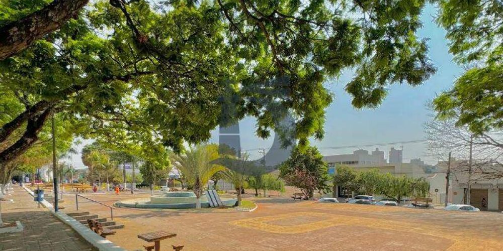 2w6i-whatsapp-image-2024-10-08-at-173230-1-1728420470