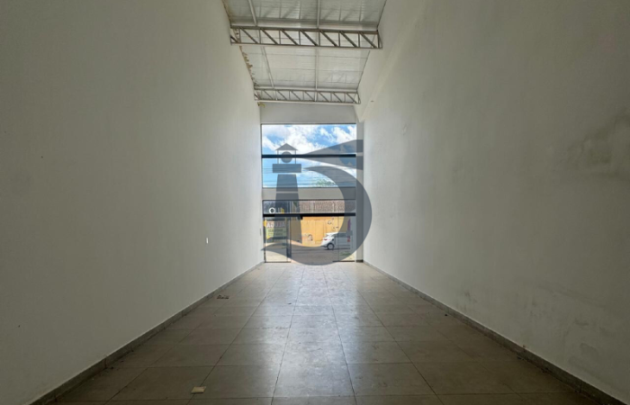 2z19v-design-sem-nome-1730915519