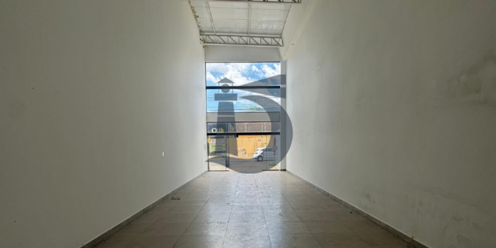 2z19v-design-sem-nome-1730915519