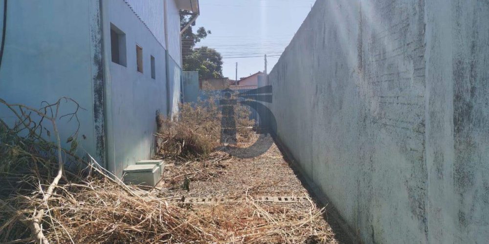 312bth-whatsapp-image-2024-06-20-at-104943-1718894936