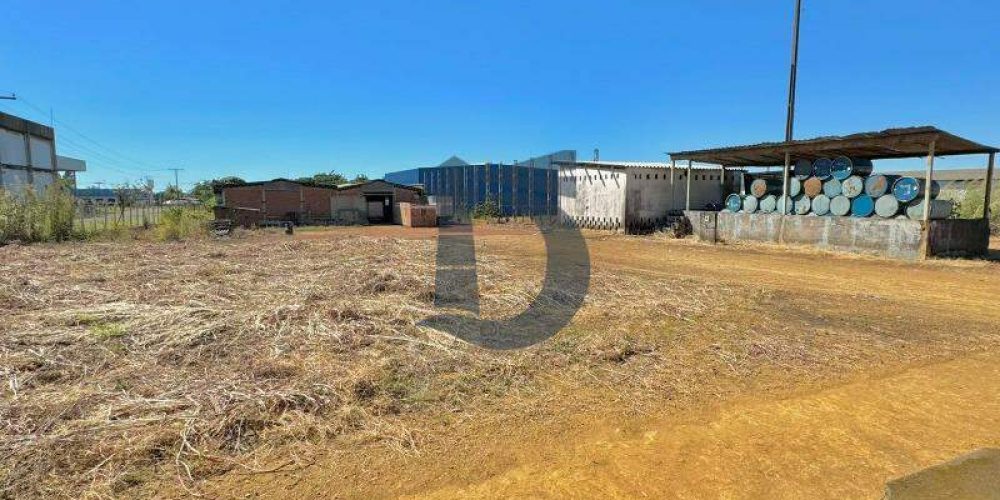 3msz6-whatsapp-image-2024-08-06-at-144128-1722967001