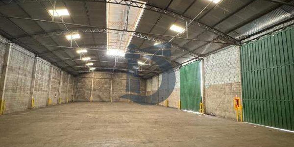 3wq5u-005-1749648146