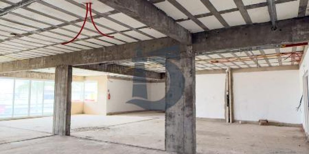 4noln-img-7533-1772197958