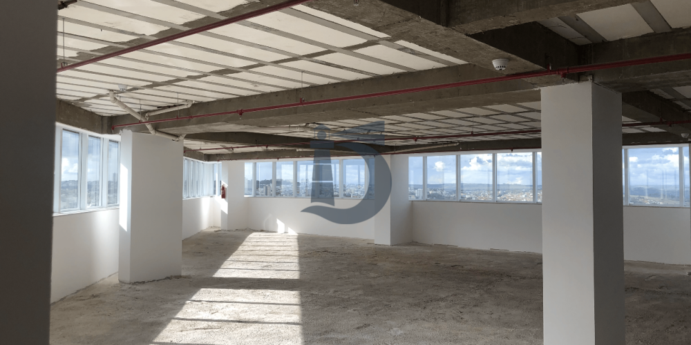 4ro6d-img-3929-1682424229