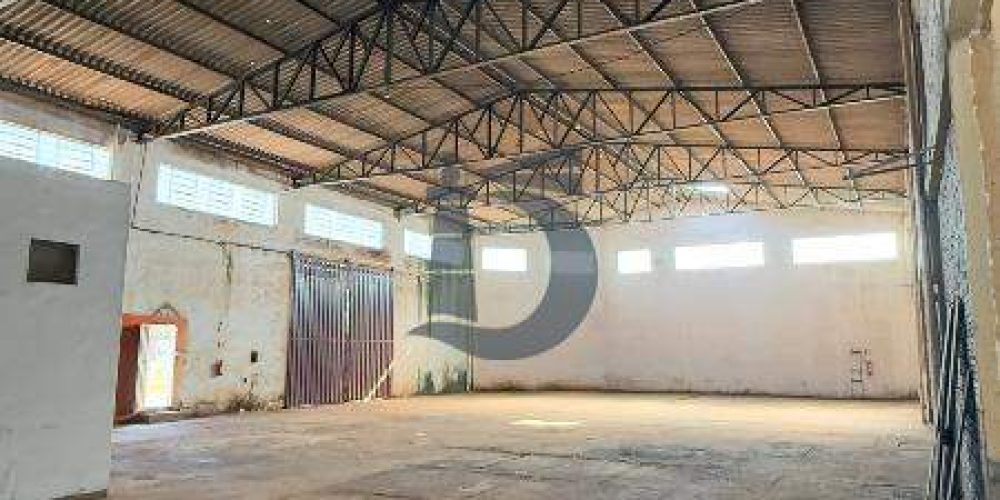 4xgnzj-img-8175-1772542706