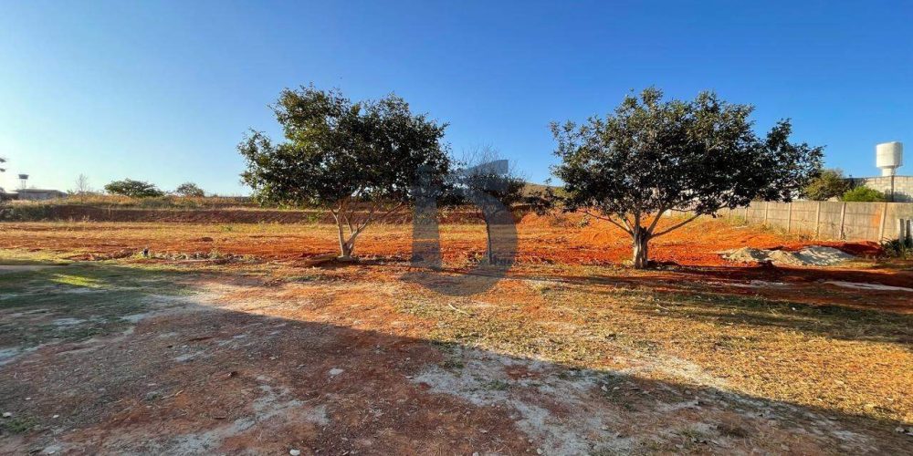 5cwb2-whatsapp-image-2024-07-10-at-174654-2-1720698655