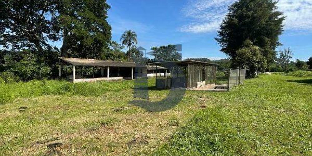 5w48y-whatsapp-image-2024-12-09-at-100436-1734380623