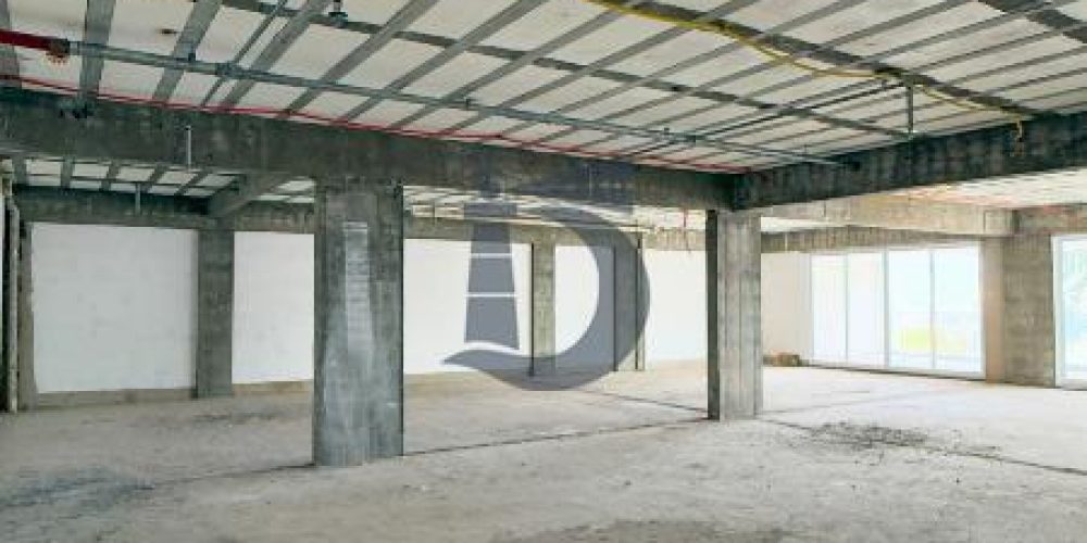 6dumt-img-7532-1772197958