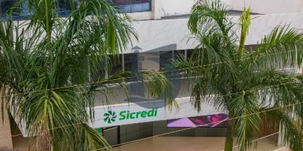 75s44-img-7689-1772197958