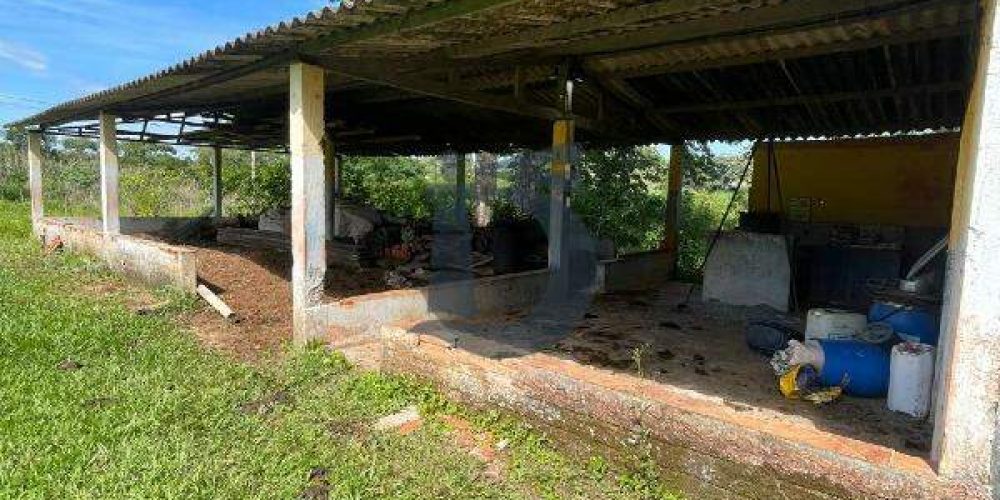 7n03y-whatsapp-image-2024-12-09-at-100434-1734380623