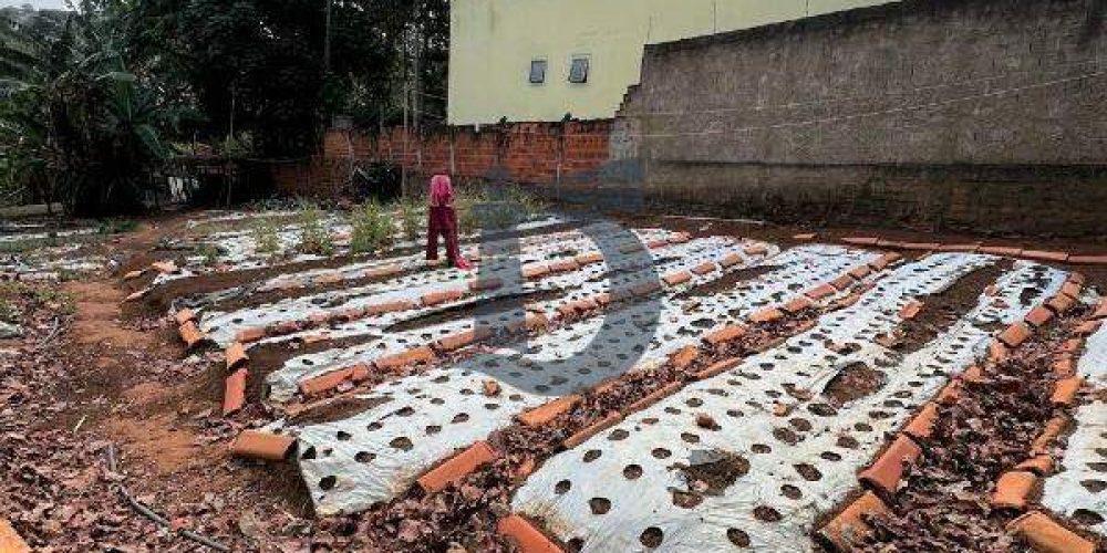 7ymno-whatsapp-image-2025-09-19-at-171544-1-1763564939