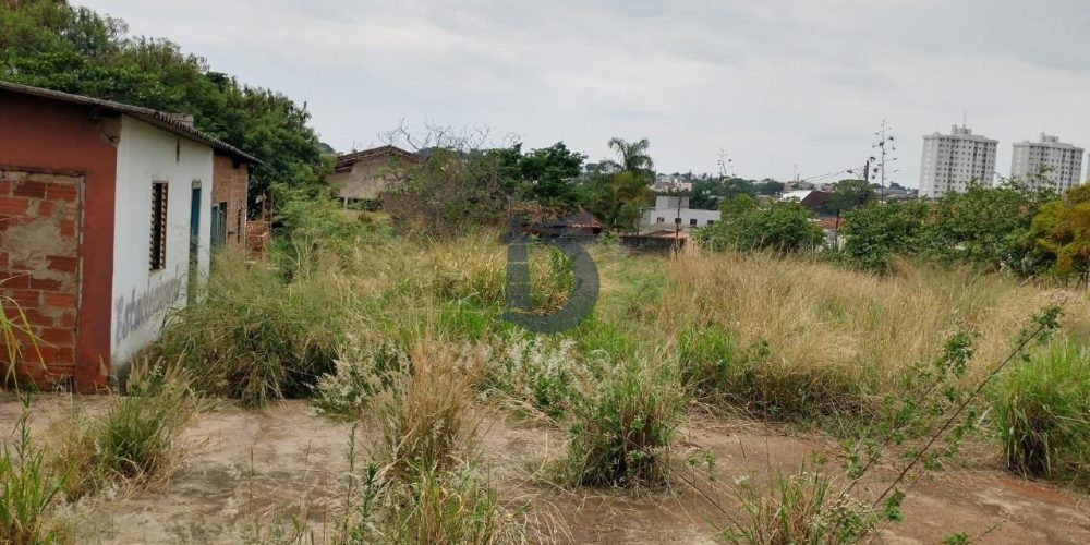 8030c51c-d2ad-4473-b767-618f406603a5