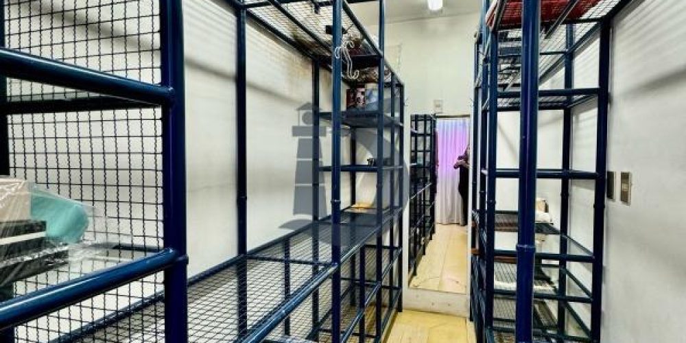 8613jg-whatsapp-image-2024-02-29-at-174803-1709292869