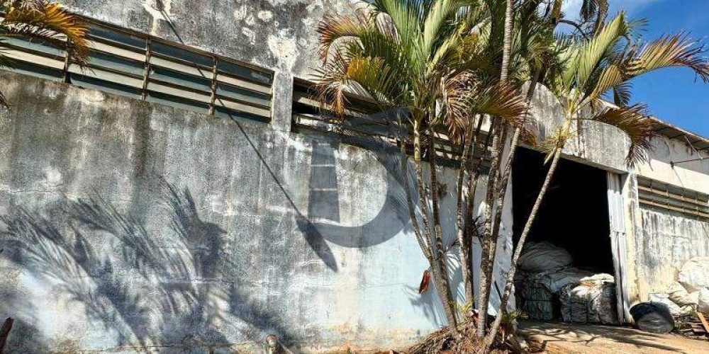 9j869-whatsapp-image-2024-08-15-at-094254-1723809412