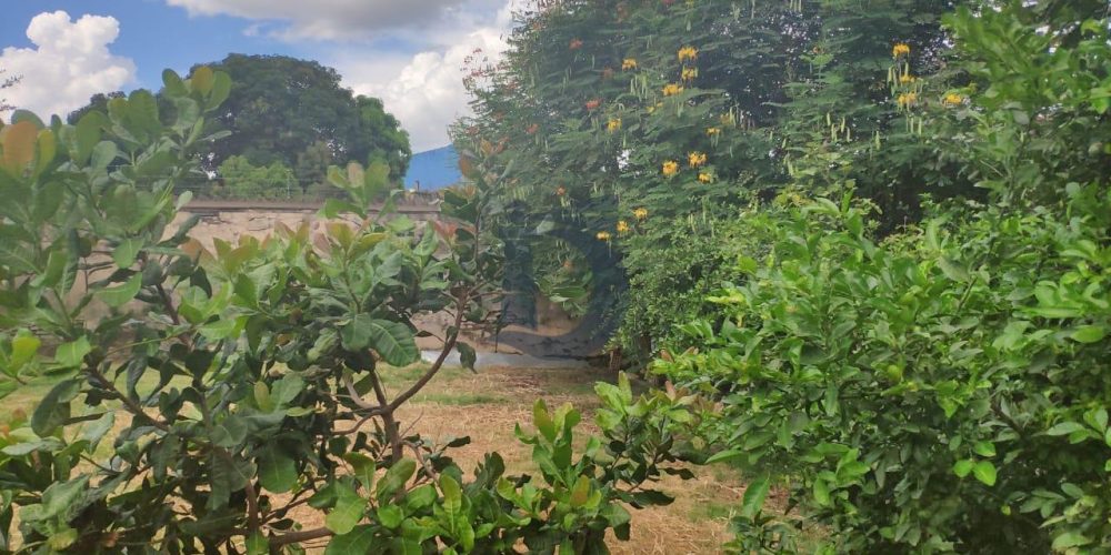 WhatsApp-Image-2019-02-06-at-08.22.46