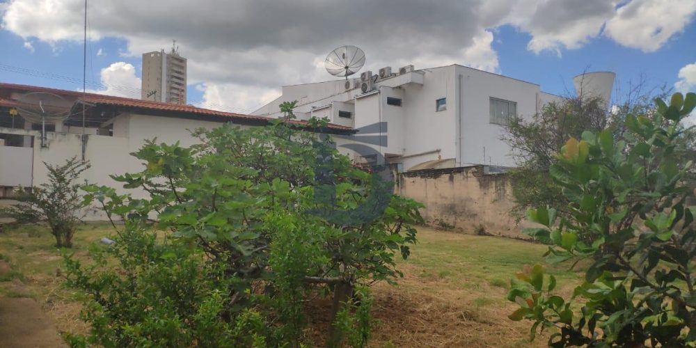 WhatsApp-Image-2019-02-06-at-08.22.49