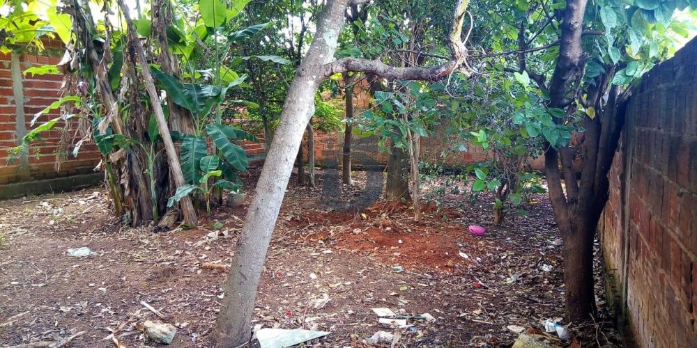 WhatsApp-Image-2019-03-01-at-08.26.52