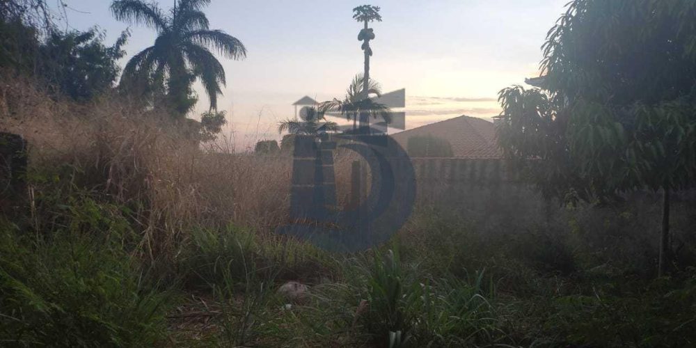 WhatsApp-Image-2019-09-10-at-17.53.42