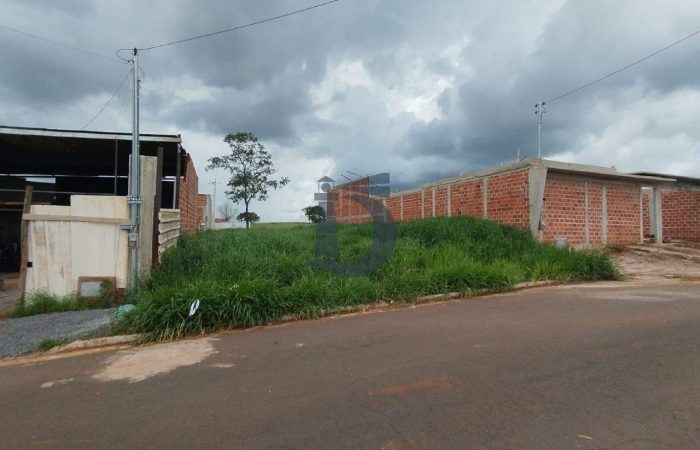 ap641-whatsapp-image-2024-08-05-at-153646-1-1722944563