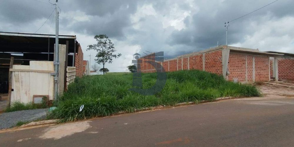 ap641-whatsapp-image-2024-08-05-at-153646-1-1722944563