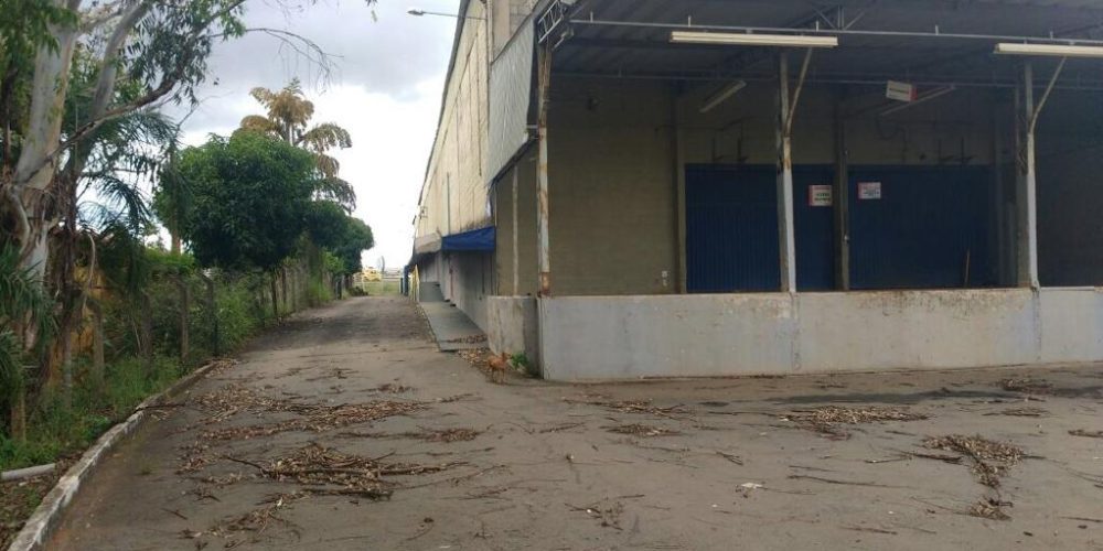 efba36ee-76c1-45fd-9c31-5efabde9db87