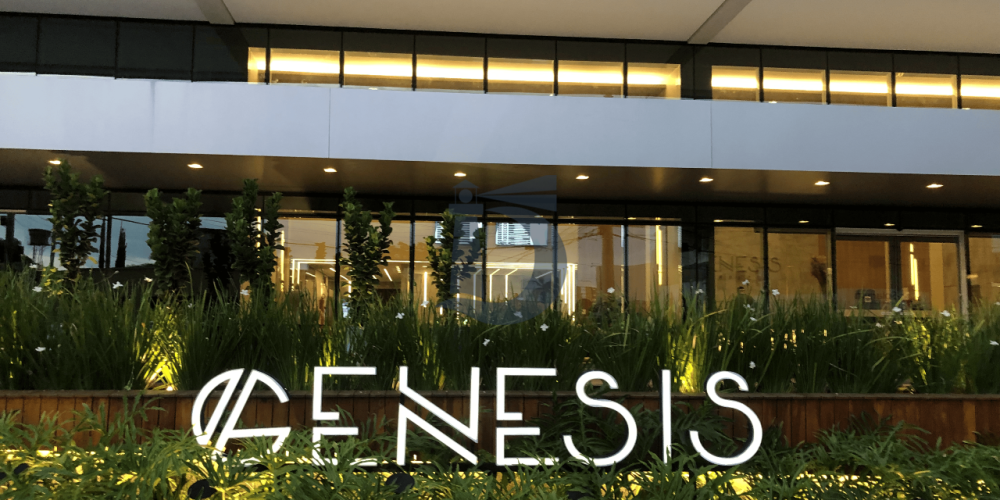 g6k81-img-4115-1682424228