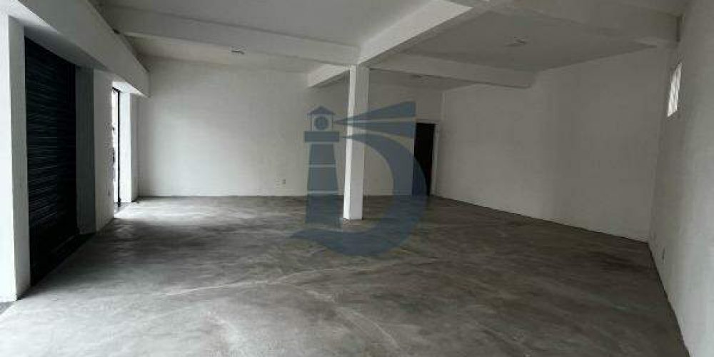 gmzsf-whatsapp-image-2025-02-24-at-143123-1740515078