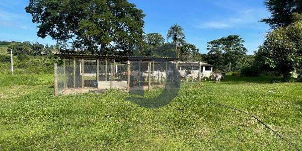 i2q6ll-whatsapp-image-2024-12-09-at-100433-1734380623