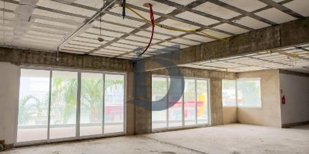 ifeh4-img-7541-1772197958