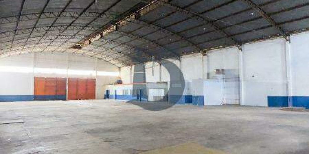 iywzv-img-8429-1773428300