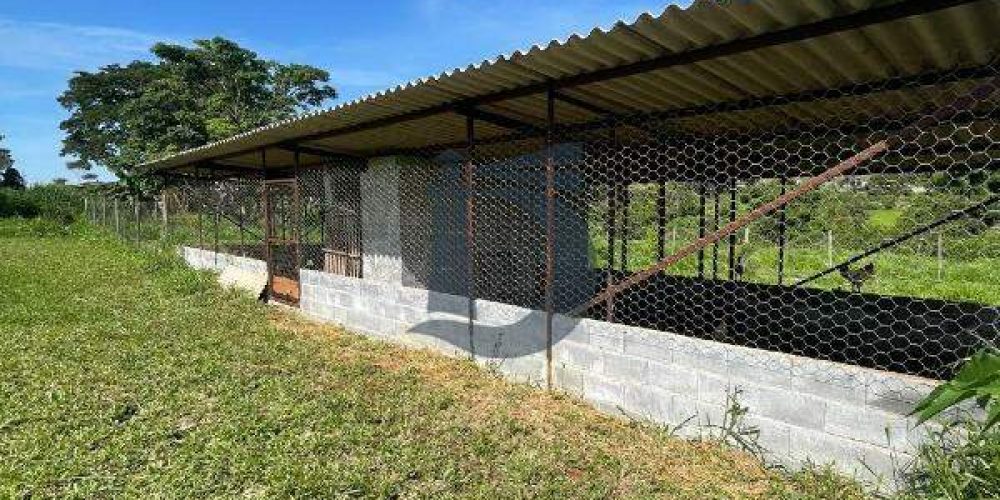 nbhsn-whatsapp-image-2024-12-09-at-100429-1734380623