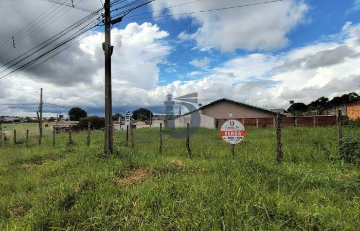 nt5hh-whatsapp-image-2026-01-22-at-110341-1769091929