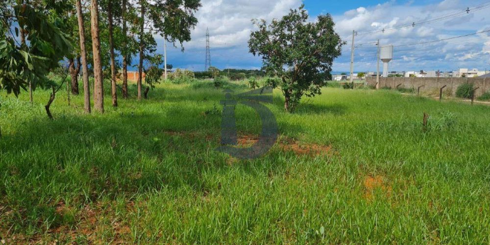 pvuoh-whatsapp-image-2025-05-07-at-110213-1747167899