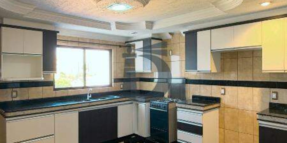 q5xi6-img-8146-1772830610