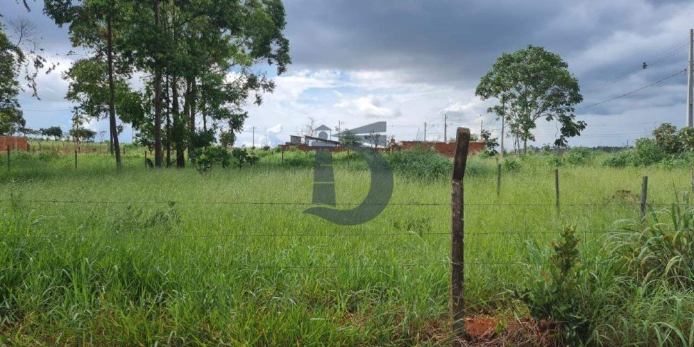 trad2-whatsapp-image-2025-05-07-at-110213-1-1747167899