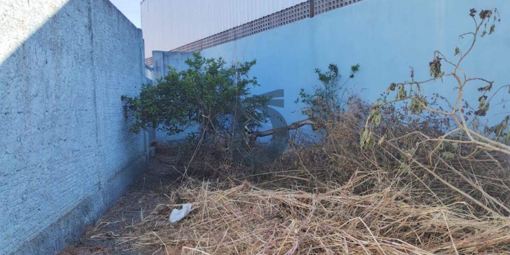 urtbg-whatsapp-image-2024-06-20-at-104944-1-1718894936