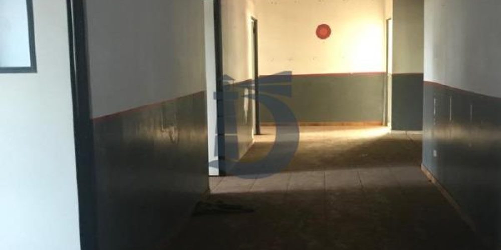 whatsapp-image-2018-11-19-at-170155