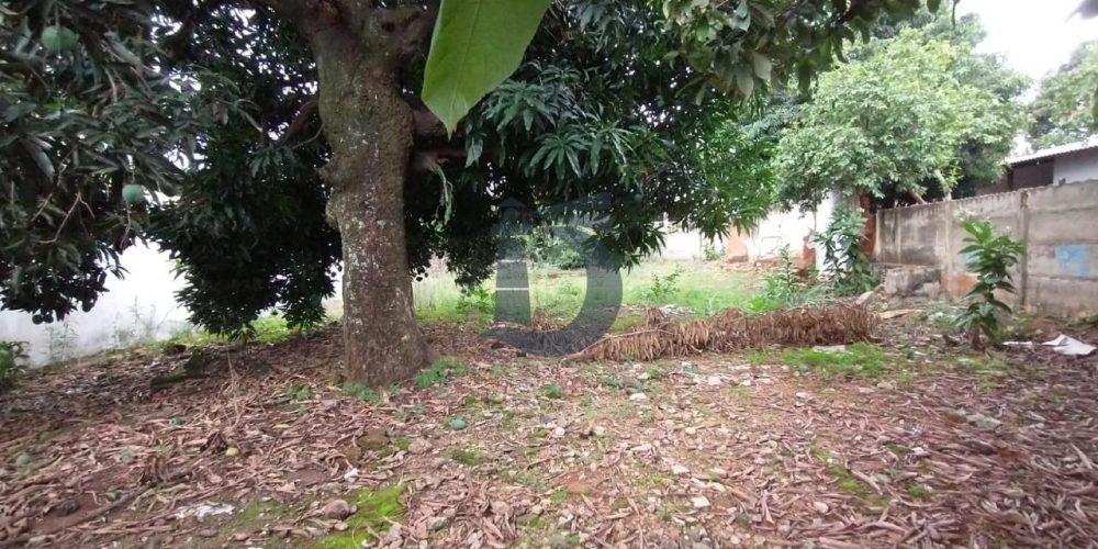 whatsapp-image-2020-11-26-at-111650