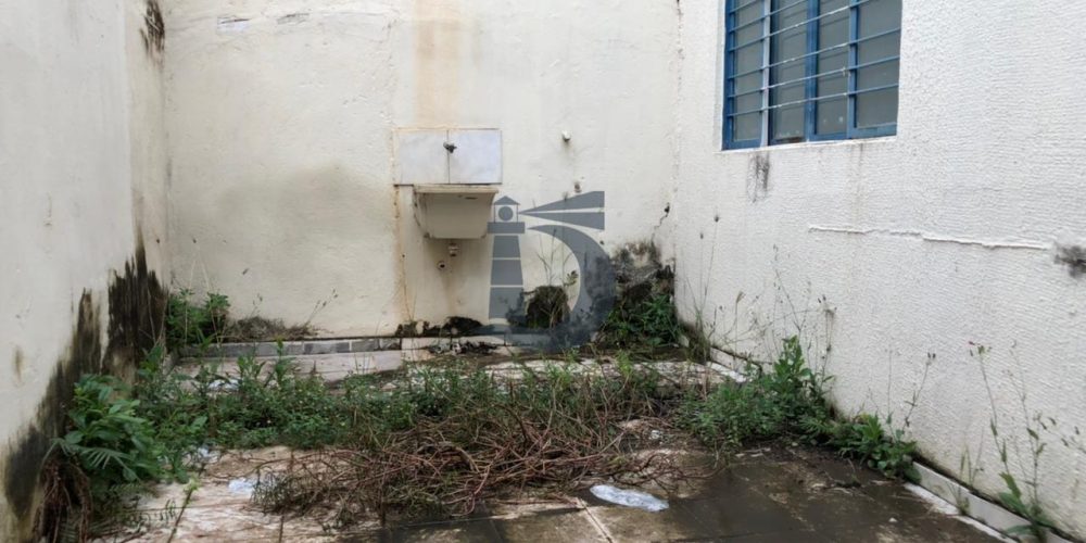 whatsapp-image-2021-03-03-at-161329