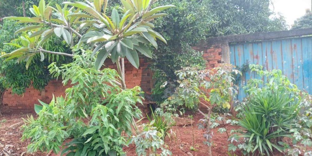 whatsapp-image-2021-04-22-at-095524