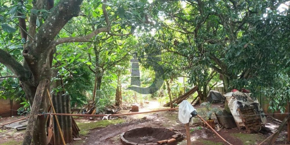 whatsapp-image-2021-04-22-at-095525