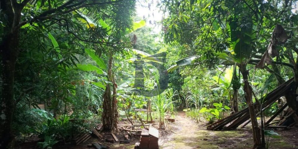 whatsapp-image-2021-04-22-at-095526-1