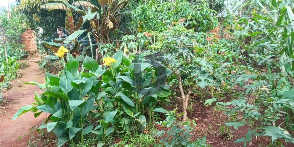 whatsapp-image-2021-04-22-at-095527